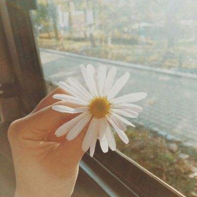 万博全站(Manbetx)官方网站